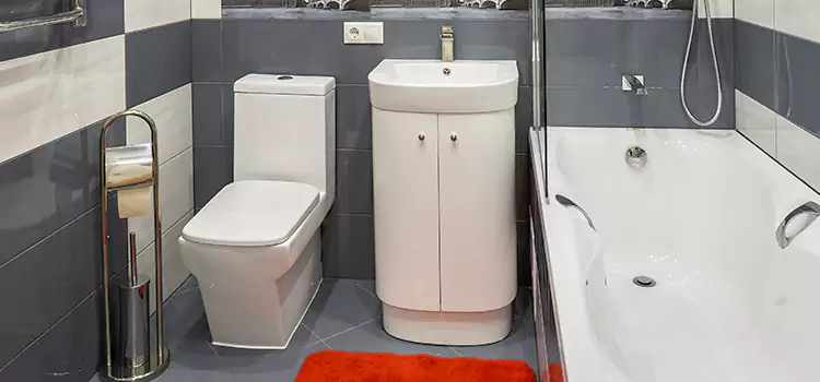 Hansgrohe Shaving Mirror Texarkana